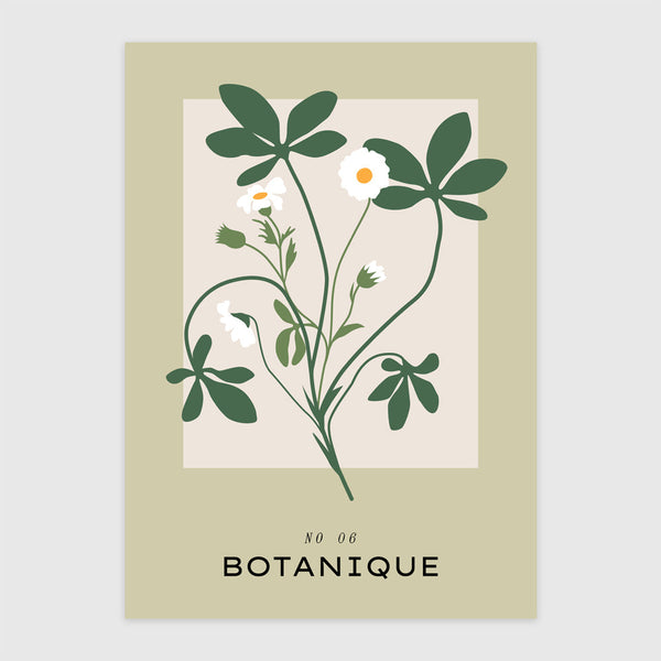 Botanique NO 06